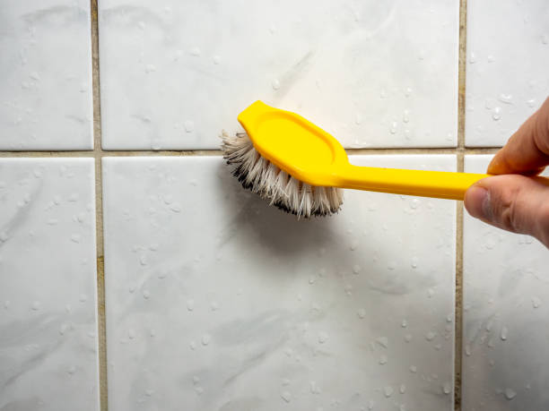 Best Affordable Mold Removal  in Rogersville, MO